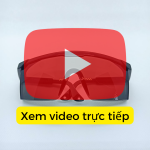 Kính hàn xì bảo vệ mắt bằng nhựa KK118 1