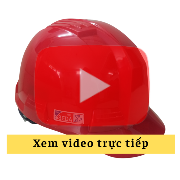 Video Dpq Xanh La (5)