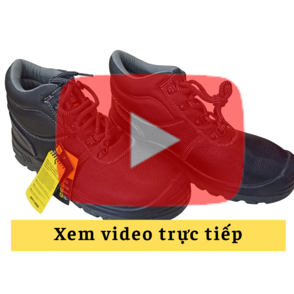 Video Gbh Jg02
