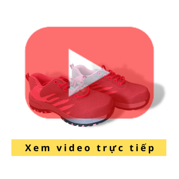 Xem Video Trực Tiếp