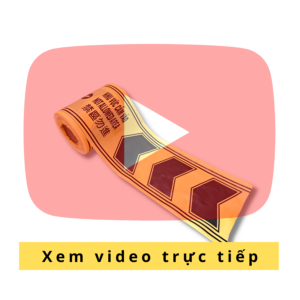 Xem video trực tiếp